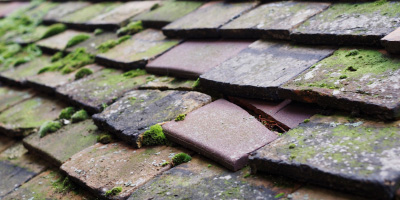 Llandysul roof repair costs
